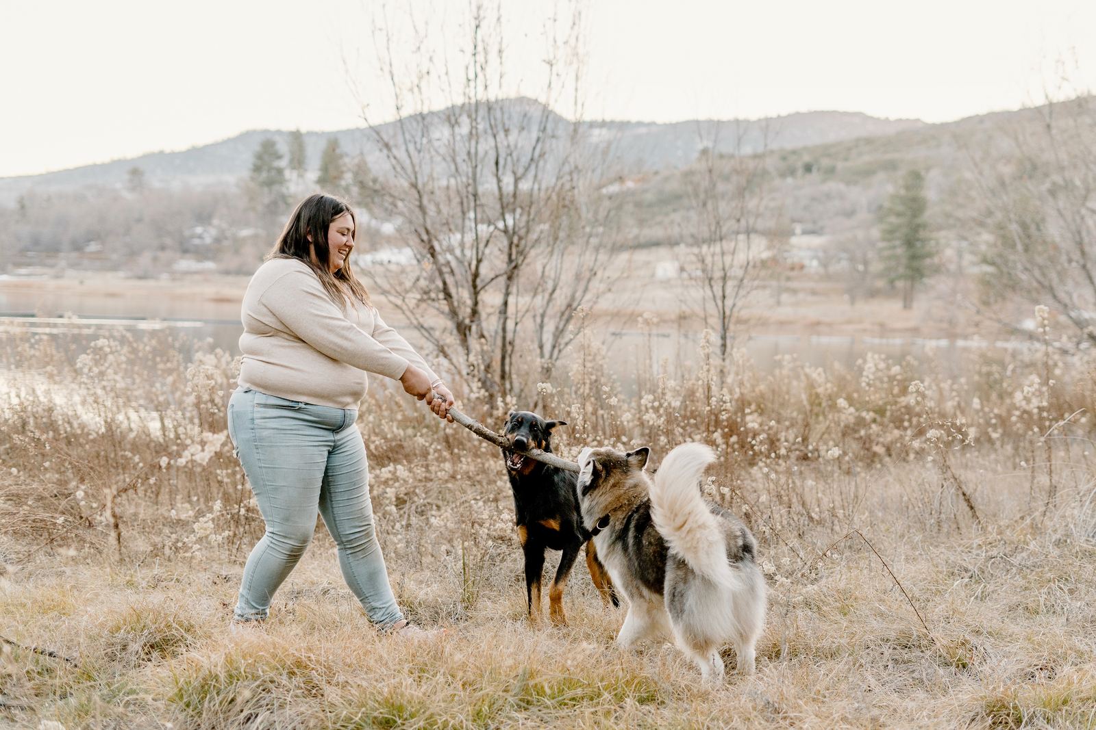 Bri working with two dogs in an open field