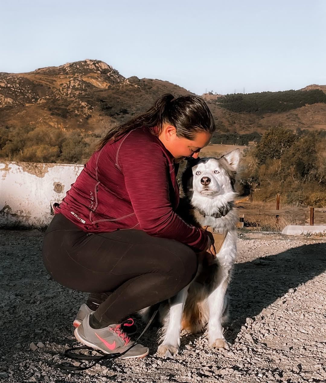 A trainer kneeling to greet a husky on a hillside